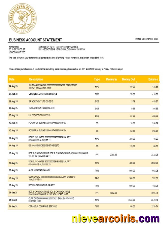 Banco Central de Bolivian enterprise statement